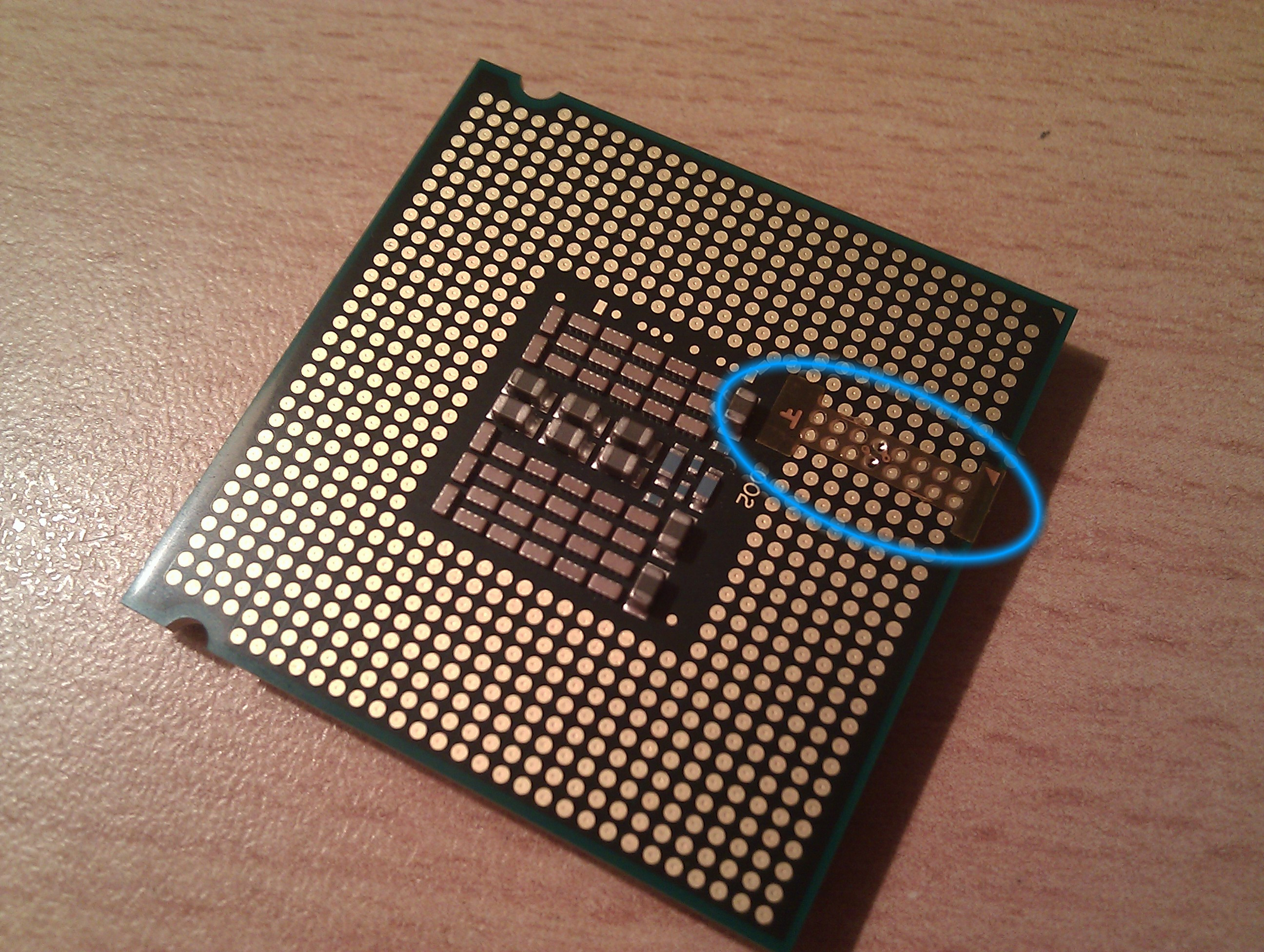 Xeon на 775 сокет. LGA 771. LGA 775 Xeon Pin. Socket 771 LGA. LGA 775 Socket.